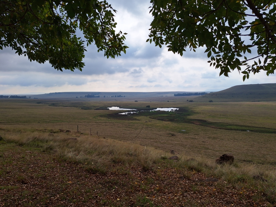 11 Bedroom Property for Sale in Vrede Free State